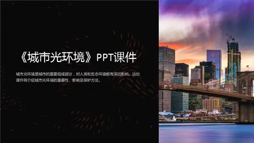 《城市光环境》课件