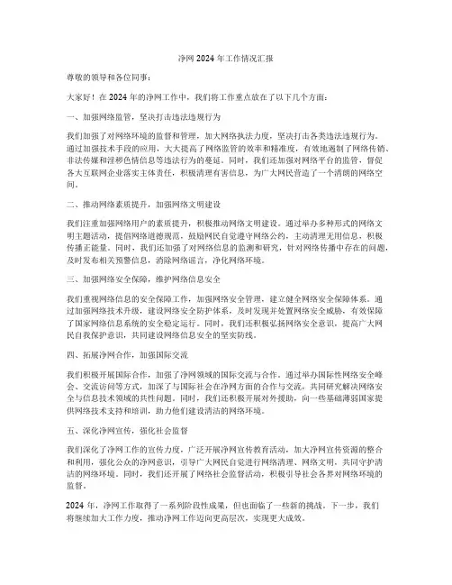 净网2024年工作情况汇报