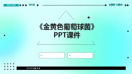 《金黄色葡萄球菌》课件