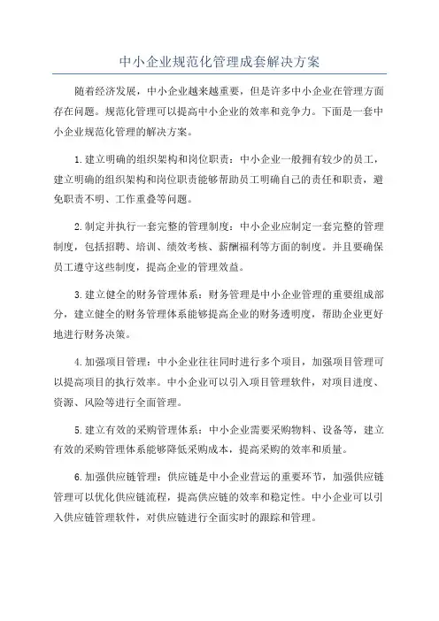 中小企业规范化管理成套解决方案