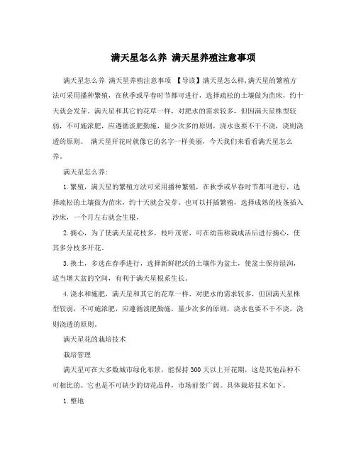 满天星怎么养满天星养殖注意事项