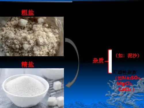 专题 粗盐中可溶性杂质的去除ppt课件
