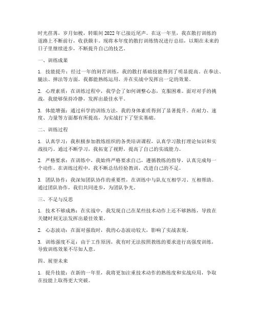 散打年终总结范文
