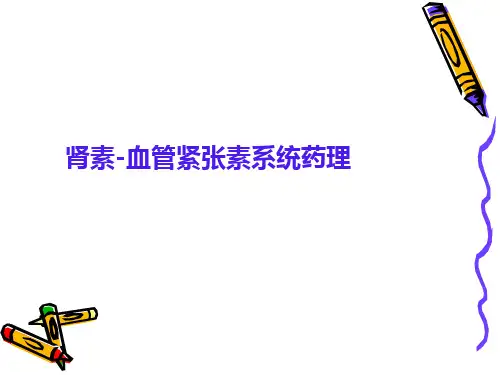 肾素-血管紧张素系统药理-精品医学 课件
