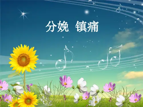 分娩疼痛的护理ppt