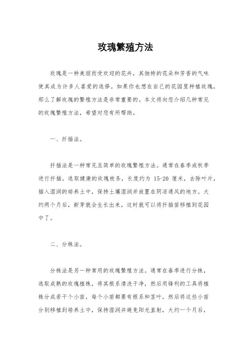 玫瑰繁殖方法