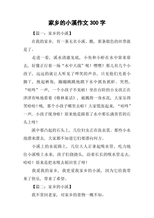 家乡的小溪作文300字