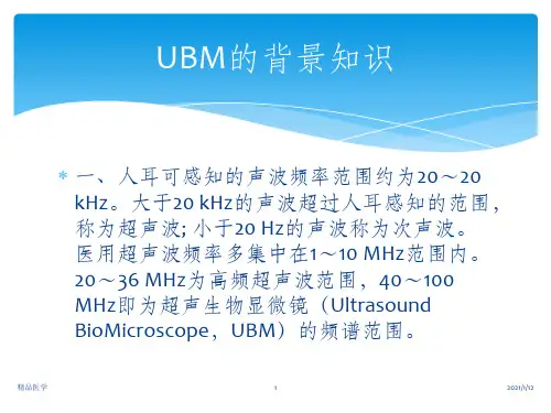 《UBM检查适应症》PPT课件