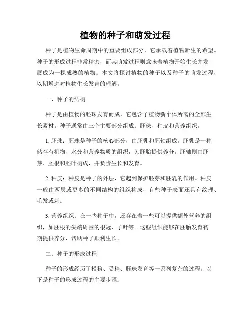 植物的种子和萌发过程