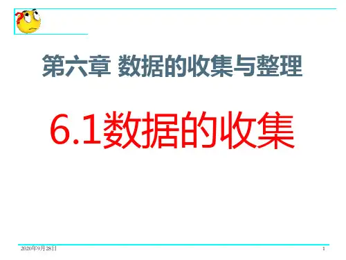 数据的收集PPT课件