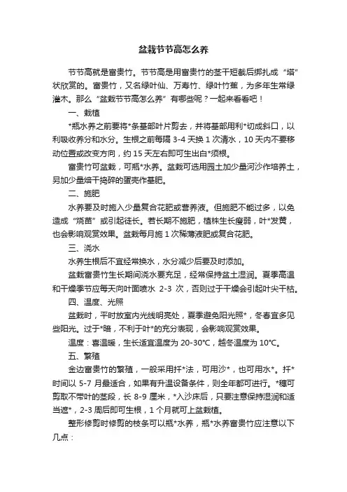 盆栽节节高怎么养