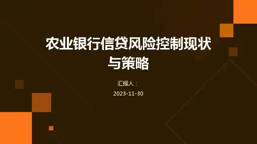农业银行信贷风险控制现状与策略