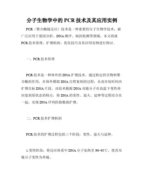 分子生物学中的PCR技术及其应用实例
