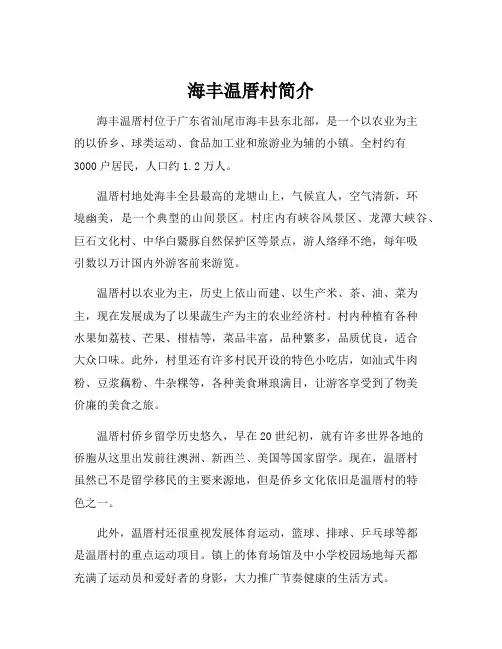 海丰温厝村简介