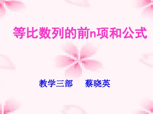 等比数列前n项和共19页PPT资料