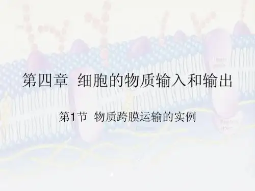 1.4.1  物质跨膜运输的实例