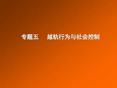 越轨行为及社会控制