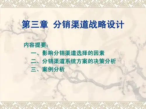 第五章 分销渠道战略设计(下)