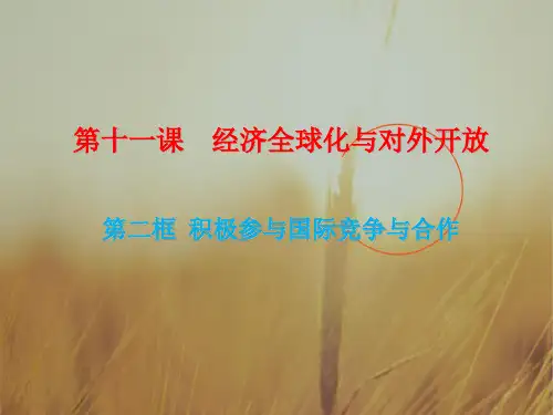 高中政治必修一 11-2积极参与国际竞争与合作 课件 共10张 精品