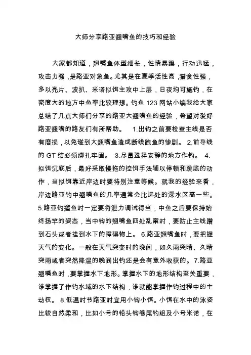 大师分享路亚翘嘴鱼的技巧和经验