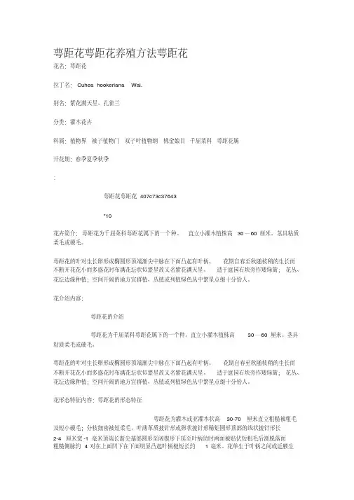 萼距花萼距花养殖方法萼距花