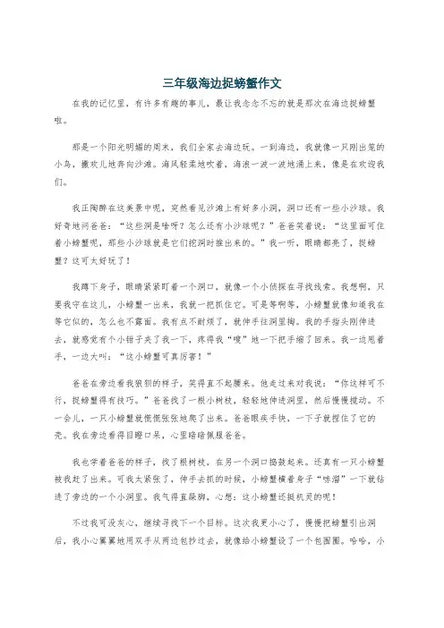 三年级海边捉螃蟹作文