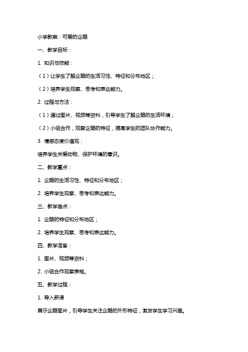 小学教案：可爱的企鹅