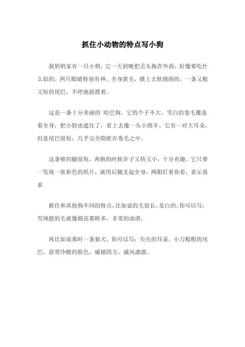 抓住小动物的特点写小狗作文