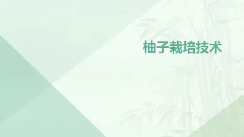柚子栽培技术