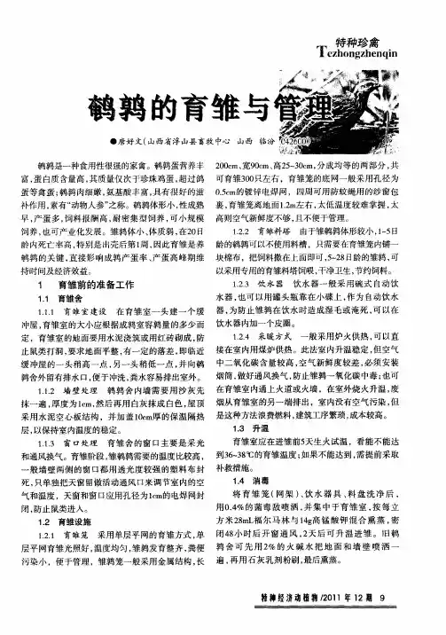 鹌鹑的育雏与管理