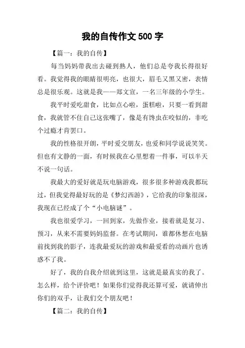 我的自传作文500字
