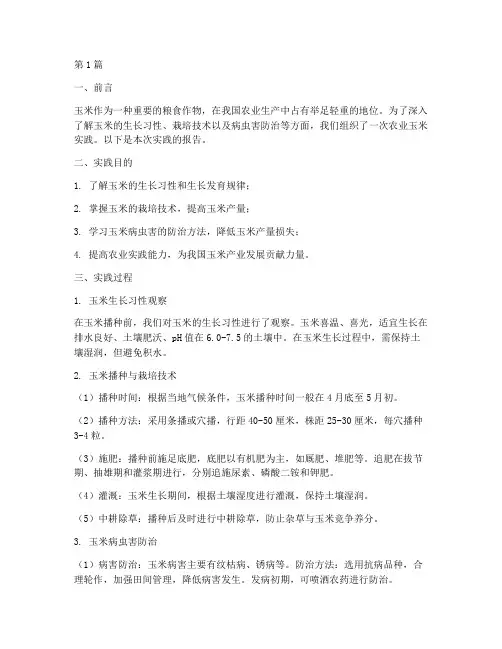 农业玉米实践报告(2篇)