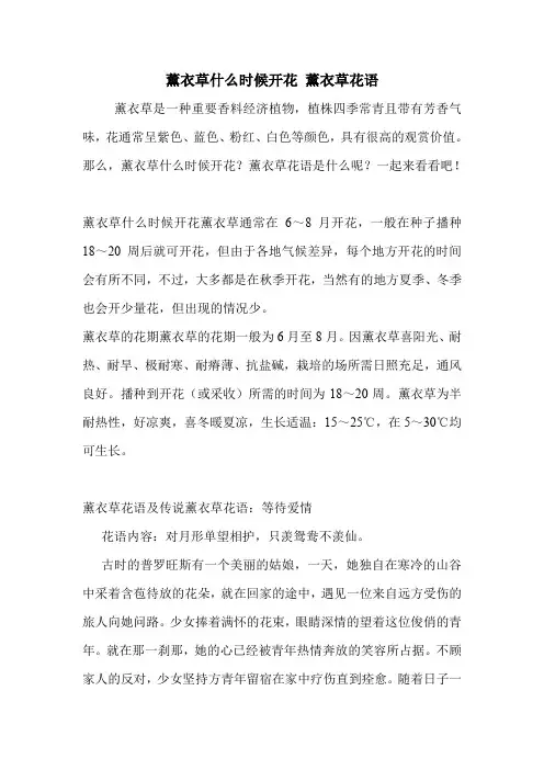 薰衣草什么时候开花 薰衣草花语.doc