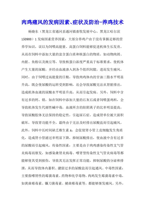肉鸡痛风的发病因素、症状及防治 - 养鸡技术
