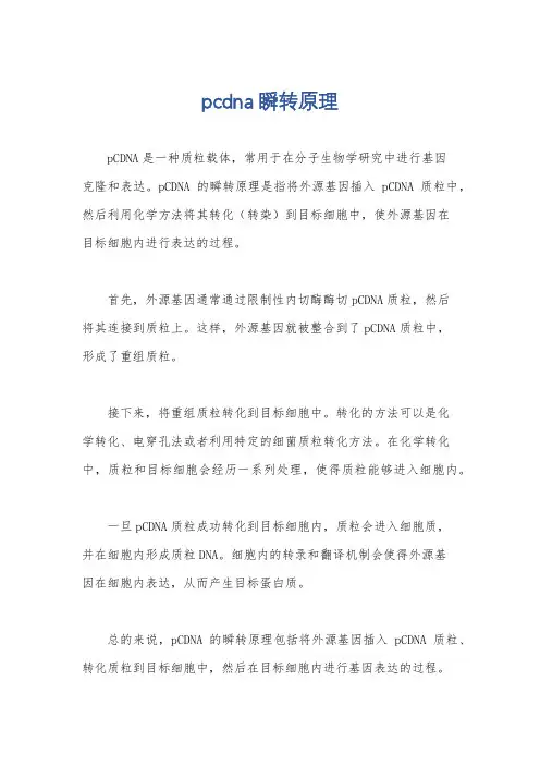 pcdna瞬转原理