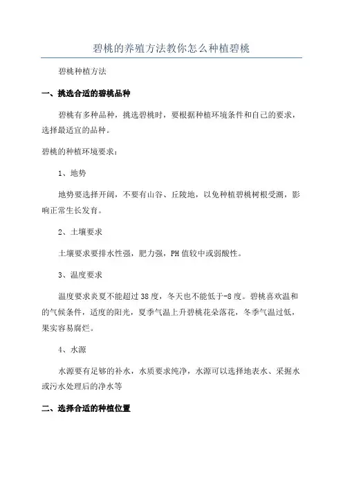 碧桃的养殖方法教你怎么种植碧桃