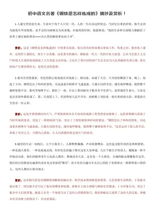 初中语文名著《钢铁是怎样炼成的》摘抄及赏析