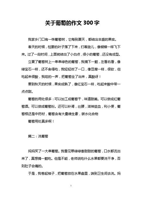 关于葡萄的作文300字
