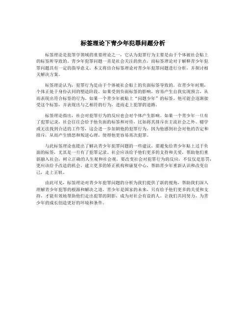 标签理论下青少年犯罪问题分析