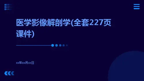 医学影像解剖学(全套227页课件)