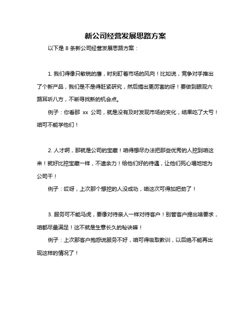 新公司经营发展思路方案