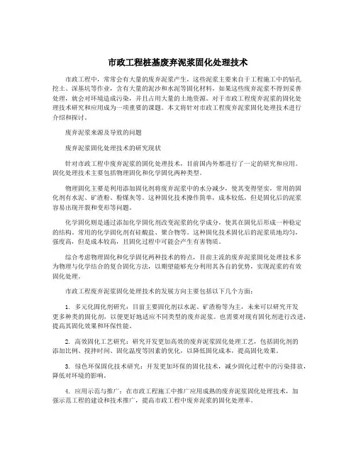 市政工程桩基废弃泥浆固化处理技术