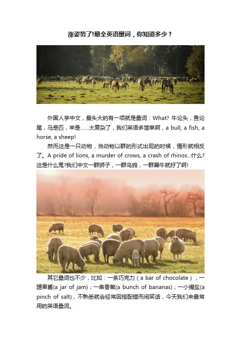 涨姿势了!最全英语量词，你知道多少？