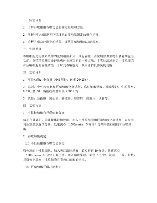 吞噬功能测定实验报告