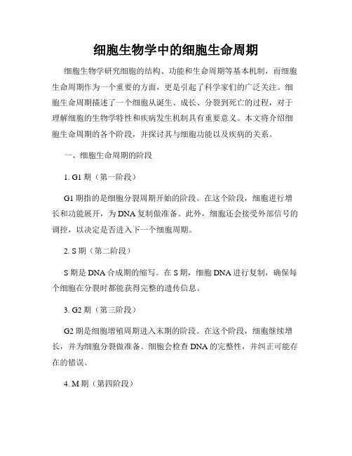 细胞生物学中的细胞生命周期