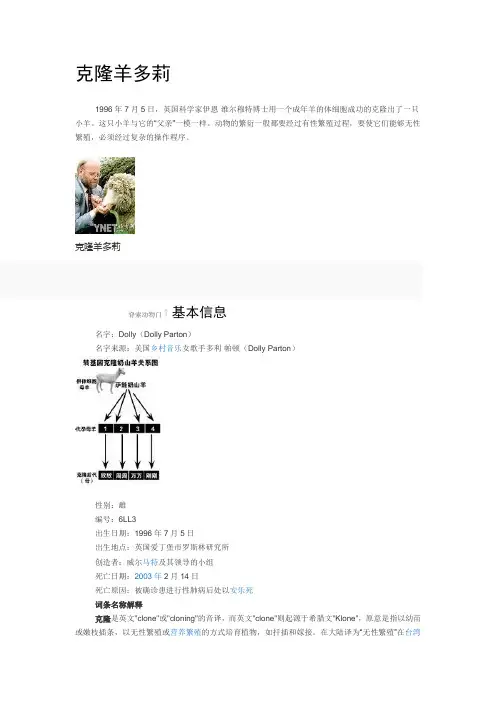 克隆羊多莉
