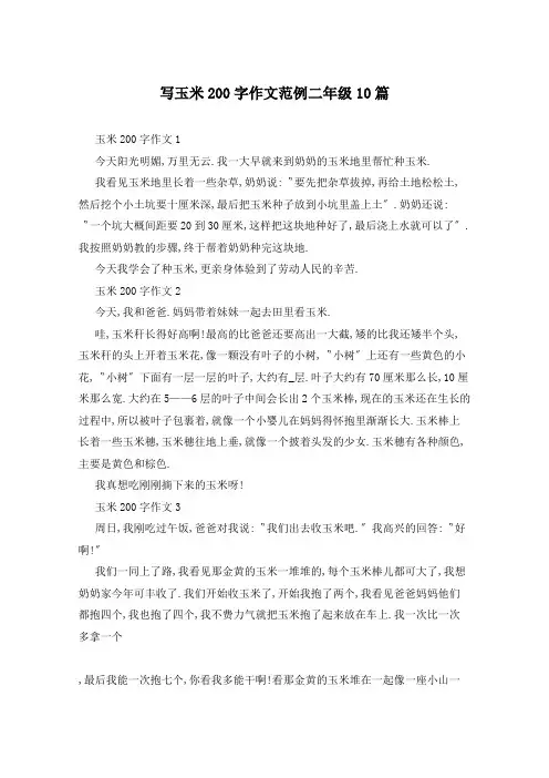写玉米200字作文范例二年级10篇