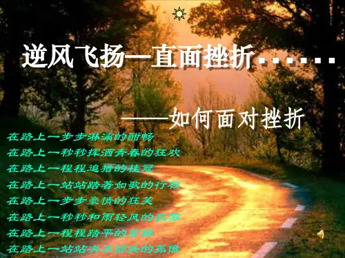 逆风飞扬——直面挫折PPT教学课件
