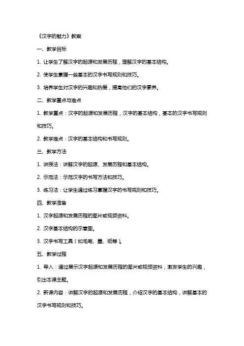 《汉字的魅力》教案