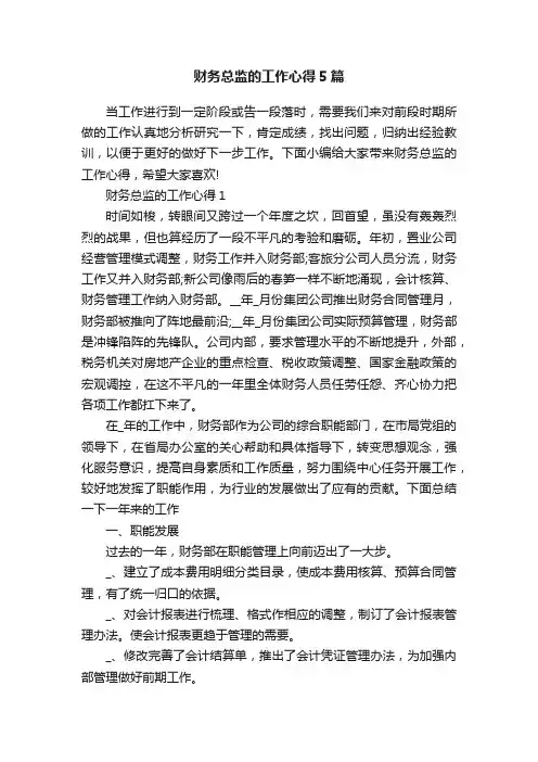 财务总监的工作心得5篇